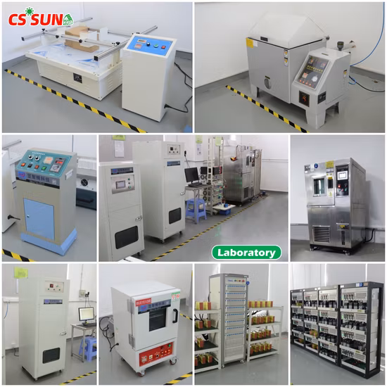 Batería LiFePO4 de 48V 50ah 100ah